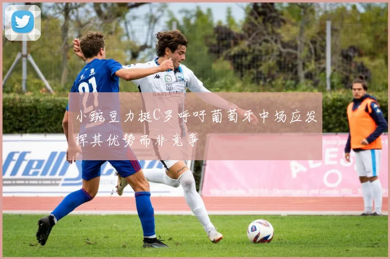 小豌豆力挺C罗呼吁葡萄牙中场应发挥其优势而非竞争
