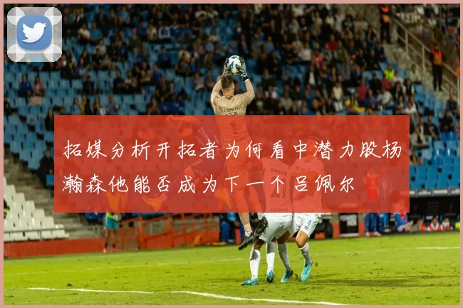 拓媒分析开拓者为何看中潜力股杨瀚森他能否成为下一个吕佩尔